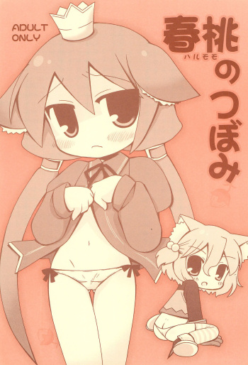 (COMIC1☆3) [RINARINA (Shudo Rima)] Harumomo no Tsubomi (7th Dragon) cover