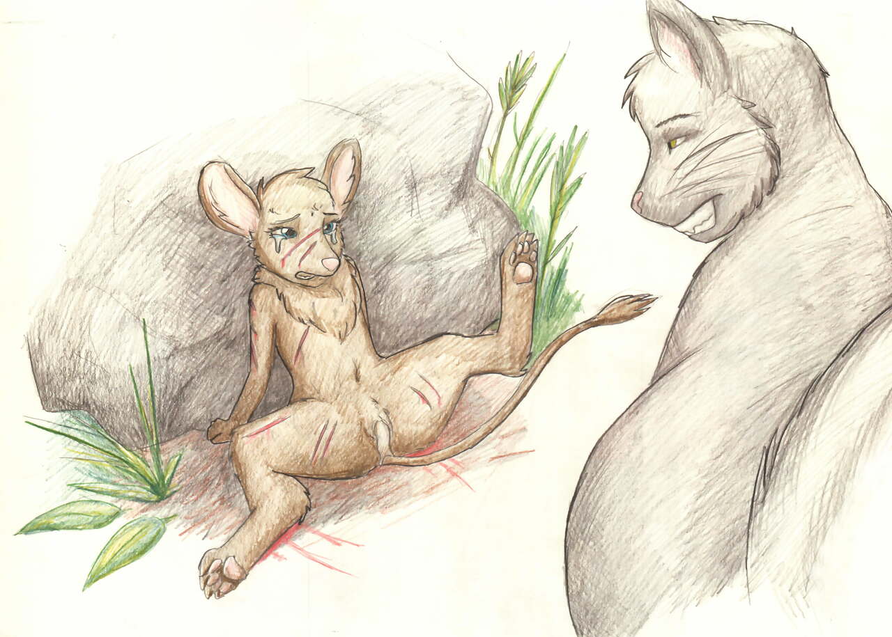 ARTIST Meowmere page 2 full