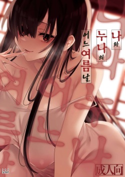 Boku to Onee-chan no Aru Natsu no Hi. | 나와 누나의 이느여름닐