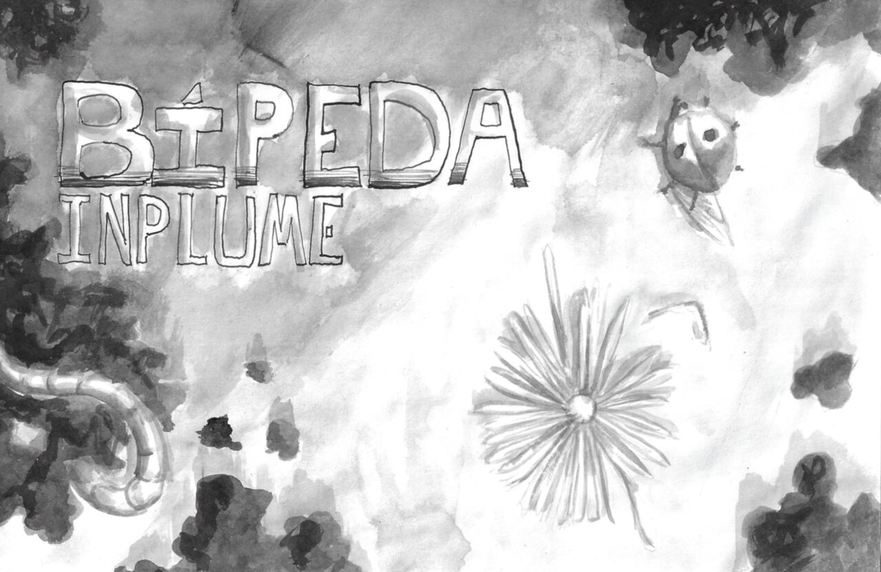 Bípeda_inplume page 2 full
