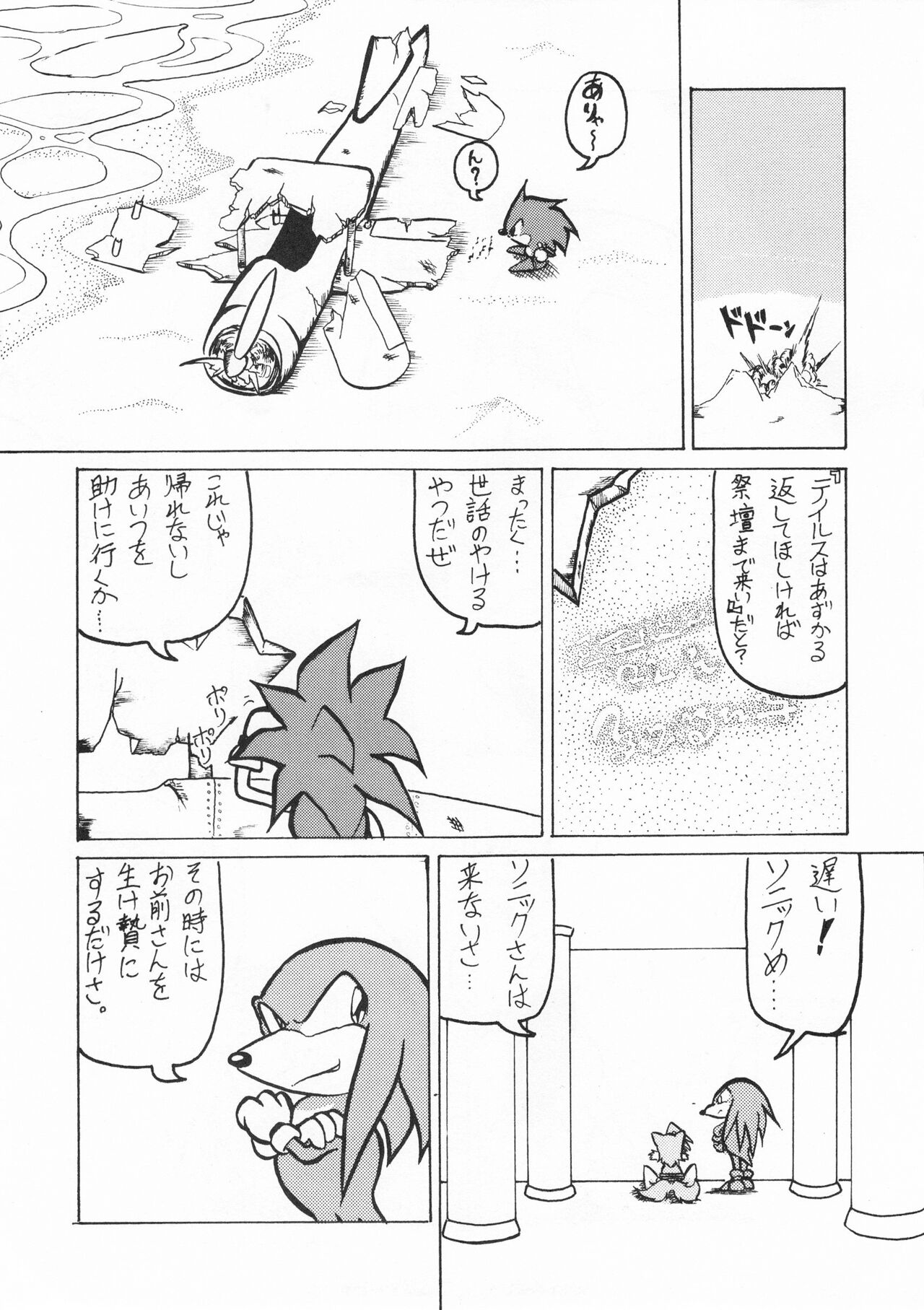 Echinococcus REMIX page 12 full