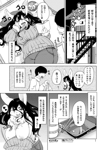 [Setouchi Kurage] Mochi Usagi cover