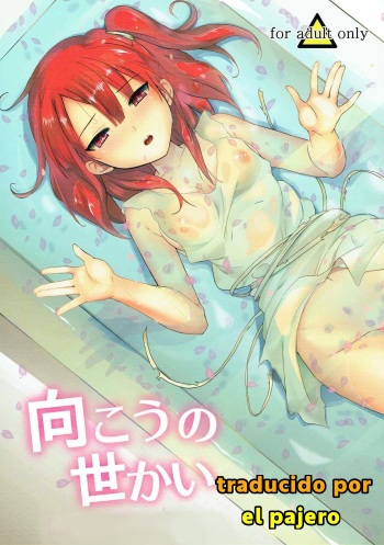 (COMIC1☆7) [macdoll (Shijou Mako)] Mukou no Sekai | The World Beyond (Magi: The Labyrinth of Magic) [Spanish] cover