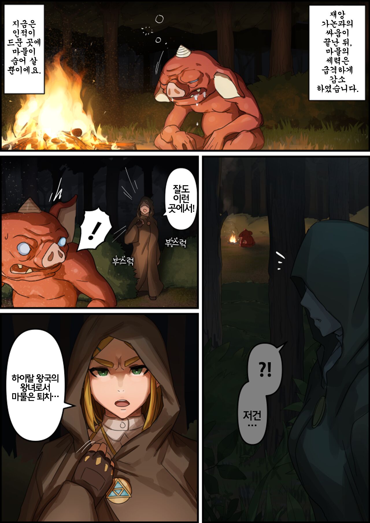 Hyrule Ouke no Fukkou page 2 full
