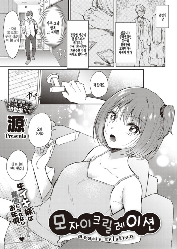 [Gen] Mosaic Relation | 모자이크 릴레이션 (COMIC ExE 33) [Korean] [팀 털난보리] [Digital] cover