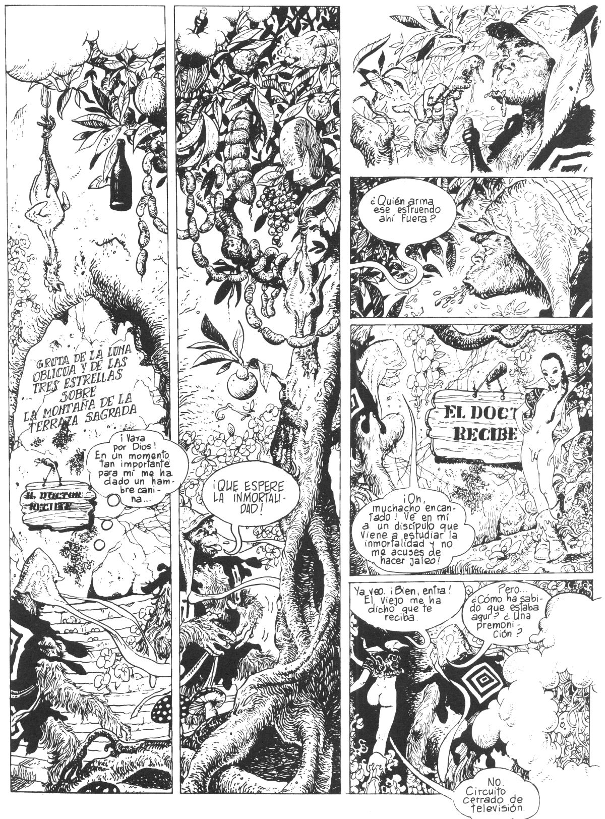 El rey mono page 12 full