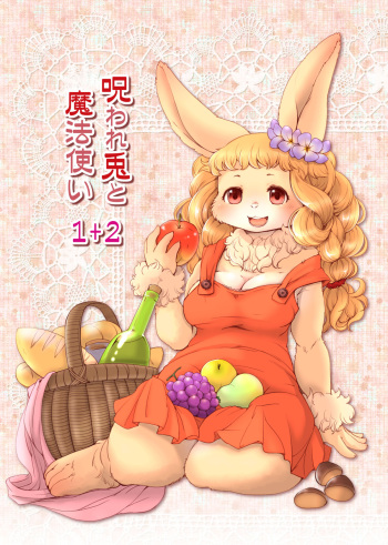 [Noraya (Setouchi Kurage)] Noroware Usagi to Mahoutsukai 1+2 [Digital] cover