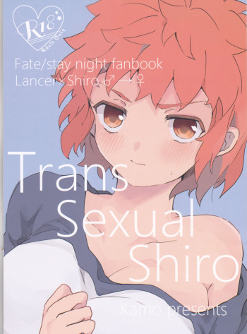 (Dai 27-ji ROOT4to5) [Kamo Nanban (Kamo)] Trans Sexual Shiro (Fate/stay night) cover