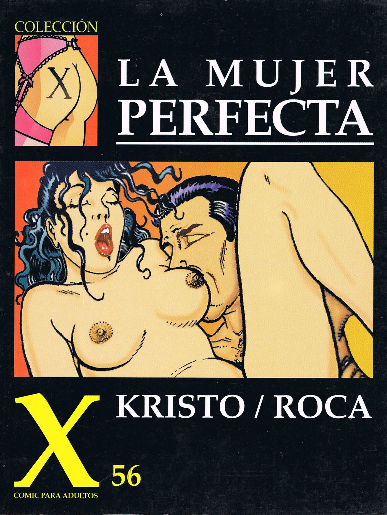 La mujer perfecta - Page 1 - Comic Porn XXX