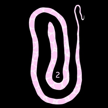 [Tonchisuke] White Snake 2 cover