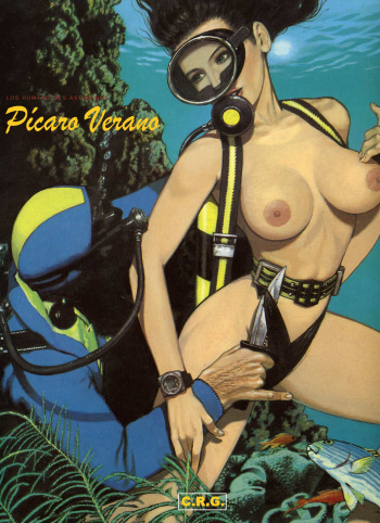 [Fripons]  Pícaro Verano - Serie Pícara [Spanish] cover