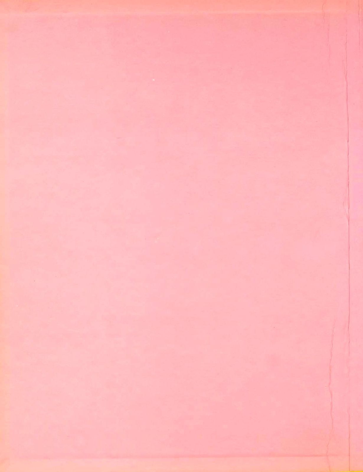 Bois Willys page 3 full