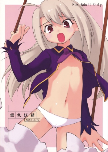 (C67) [Yoshikichi ya (Yoshikichi maru)] Giniro Yousei (Fate/stay night) cover