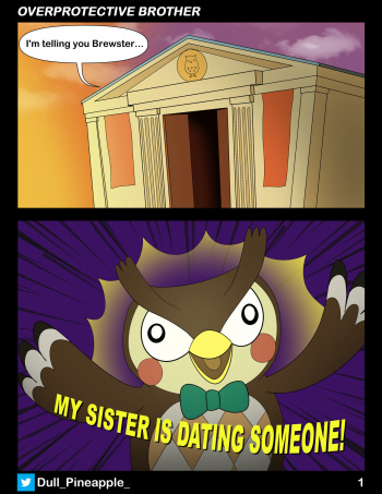 Overprotective Brother cover