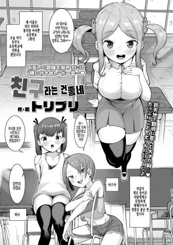 [Toriburi] Tomodachitte Iina [Korean] cover