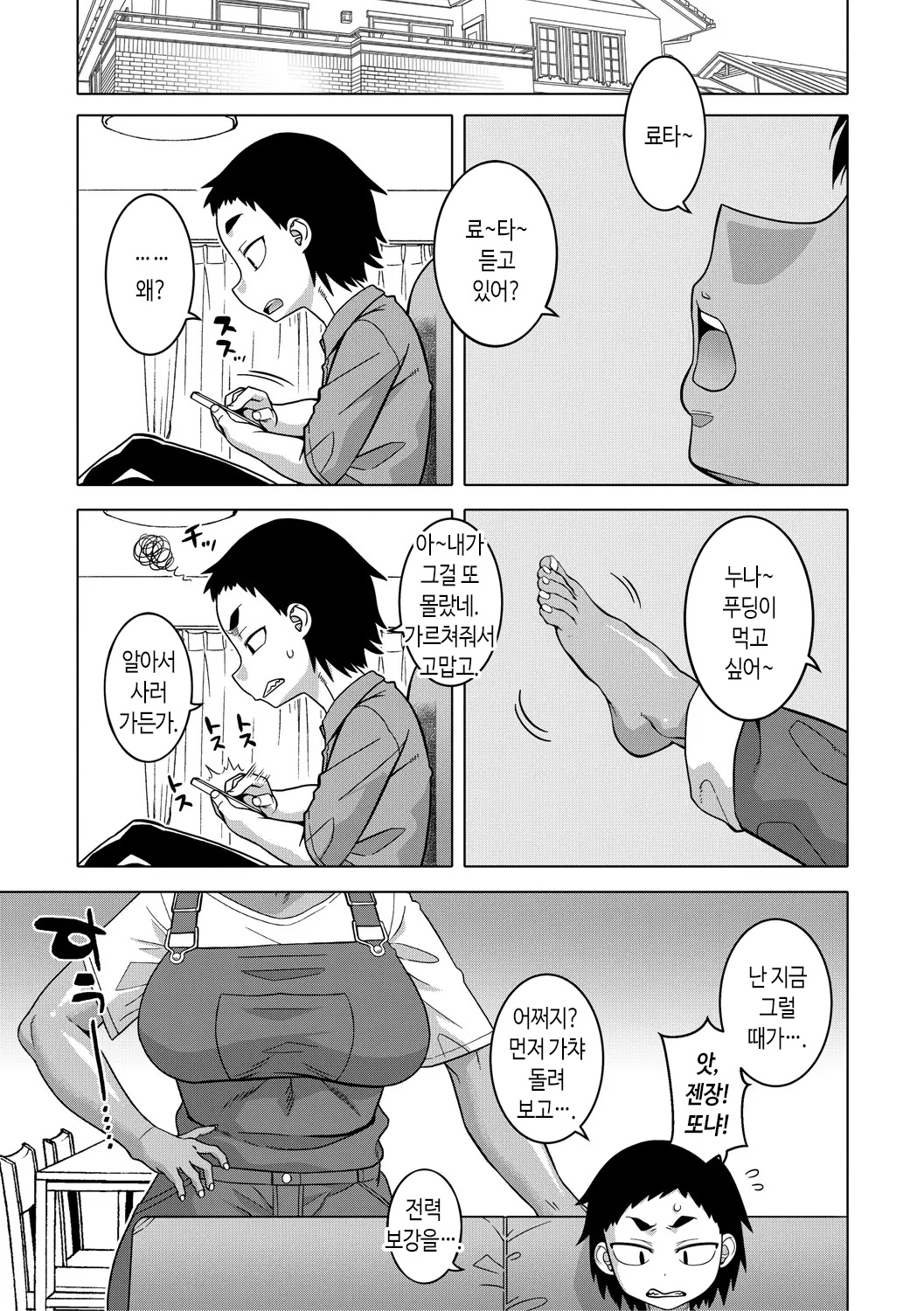 Chotto Bijin de Mune ga Dekakute Eroi dake no Baka Nee | 약간 미인에 가슴이 커다란 야하기만 할 뿐인 바보 누나 page 3 full
