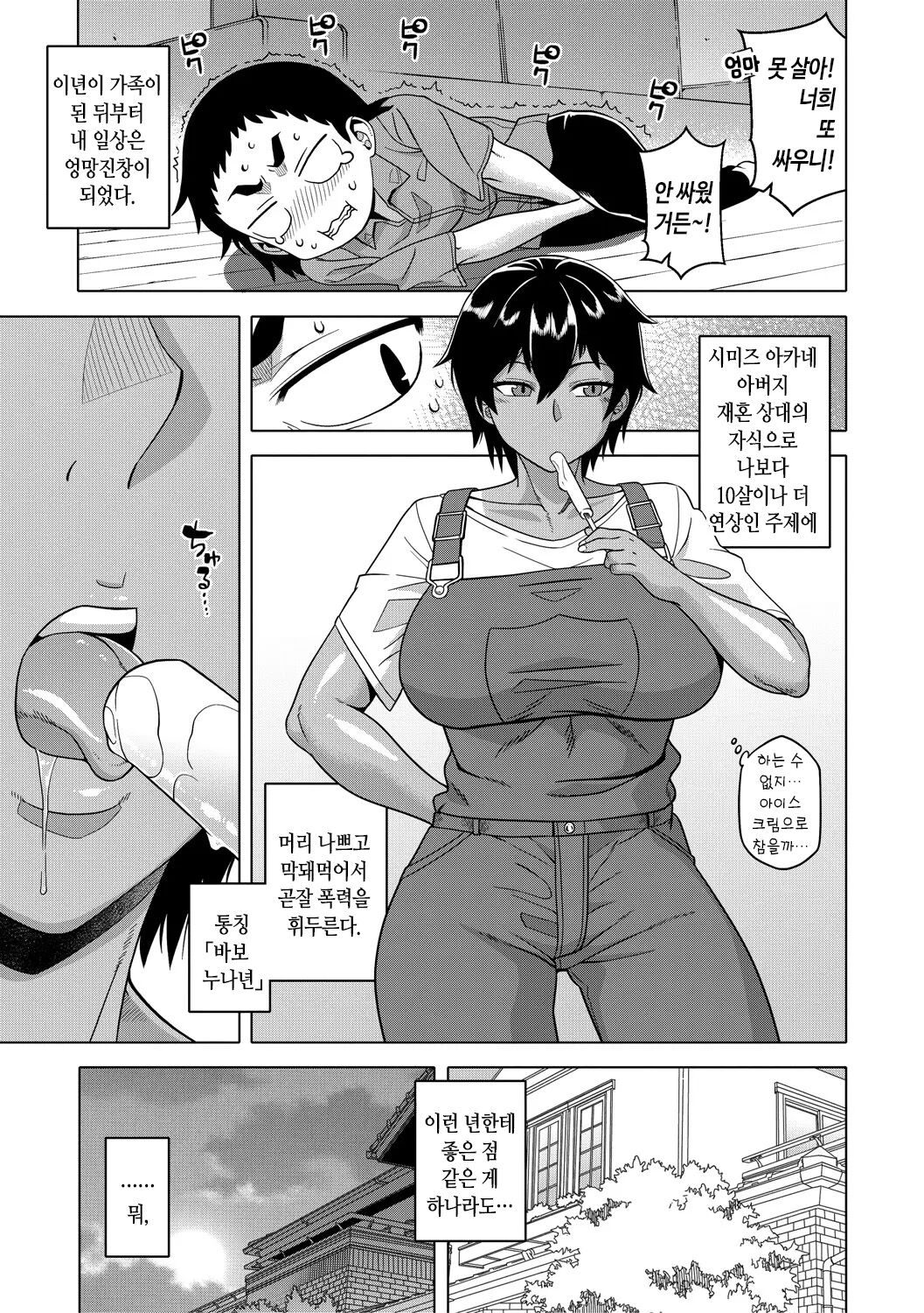 Chotto Bijin de Mune ga Dekakute Eroi dake no Baka Nee | 약간 미인에 가슴이 커다란 야하기만 할 뿐인 바보 누나 page 5 full