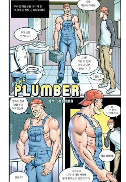 The Plumber