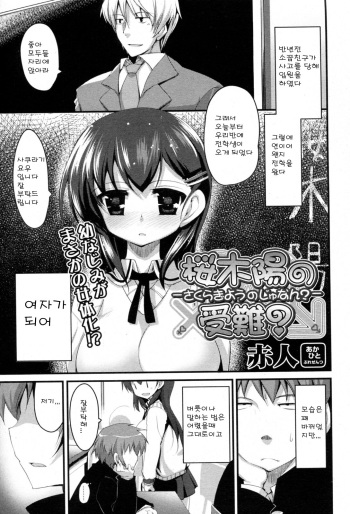 [Akahito] Sakuragi You no Junan? | 사쿠라기의 수난? (COMIC P Flirt Vol.08 2010-12) [Korean] cover