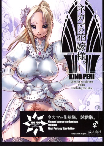 [Sakuraya Honpo (Sakura Gia)] KING PENI Kinpeni-san wo Mederuhon. Efunikin. (Final Fantasy Star Online) cover