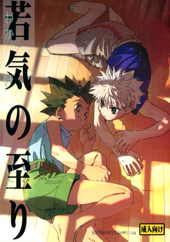(C93) [Watagashi Maker (Tomiko)] Wakage no Itari | Verdant Youth (Hunter x Hunter) [English] {Chin²} cover