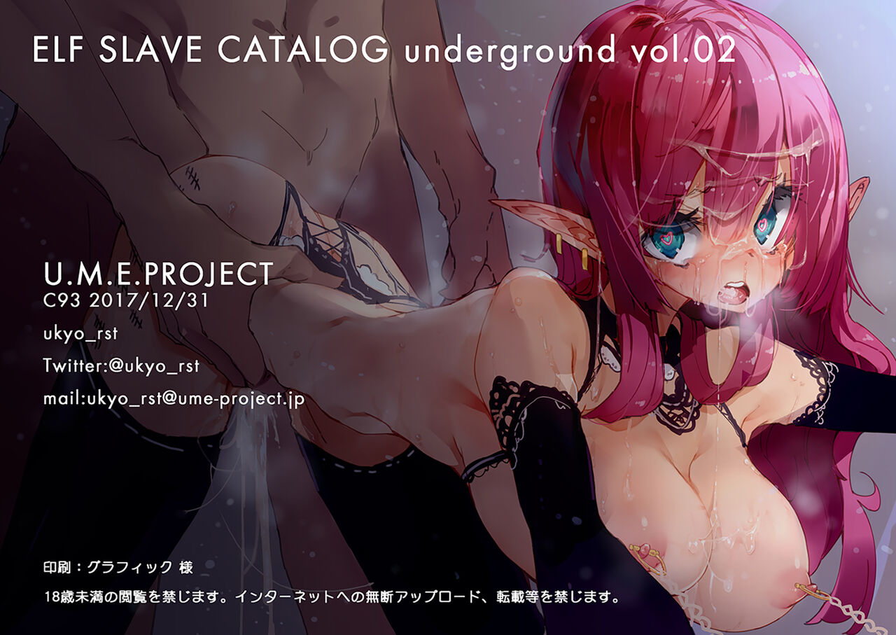 ELF SLAVE CATALOG UNDERGROUND Vol.02 page 11 full