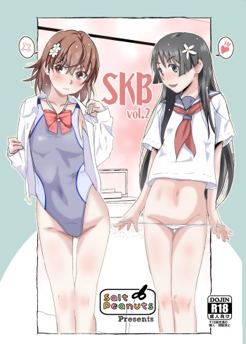 [Salt Peanuts (Niea)] SKB vol. 2 (Toaru Kagaku no Railgun) [Russian] [Farcry360] [Digital] cover