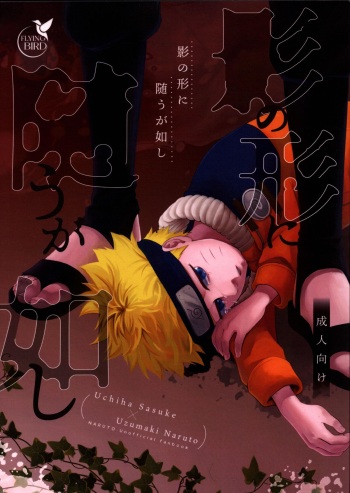 [Flying Bird] Kage no katachi ni zuiugagotoshi 【tokutenzuke】(Naruto) cover
