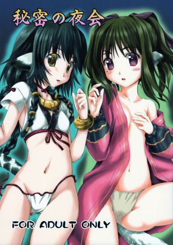 (C91) [Kanmiya Makkuro (Kuro Yorozu)] Himitsu no Yakai (Utawarerumono Itsuwari no Kamen) [English] [ianuela] cover