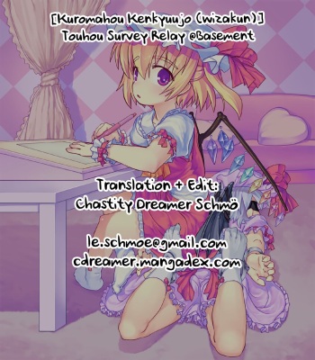 [Kuromahou Kenkyuujo (wizakun)] Touhou Survey Relay @Basement (Touhou Project) cover