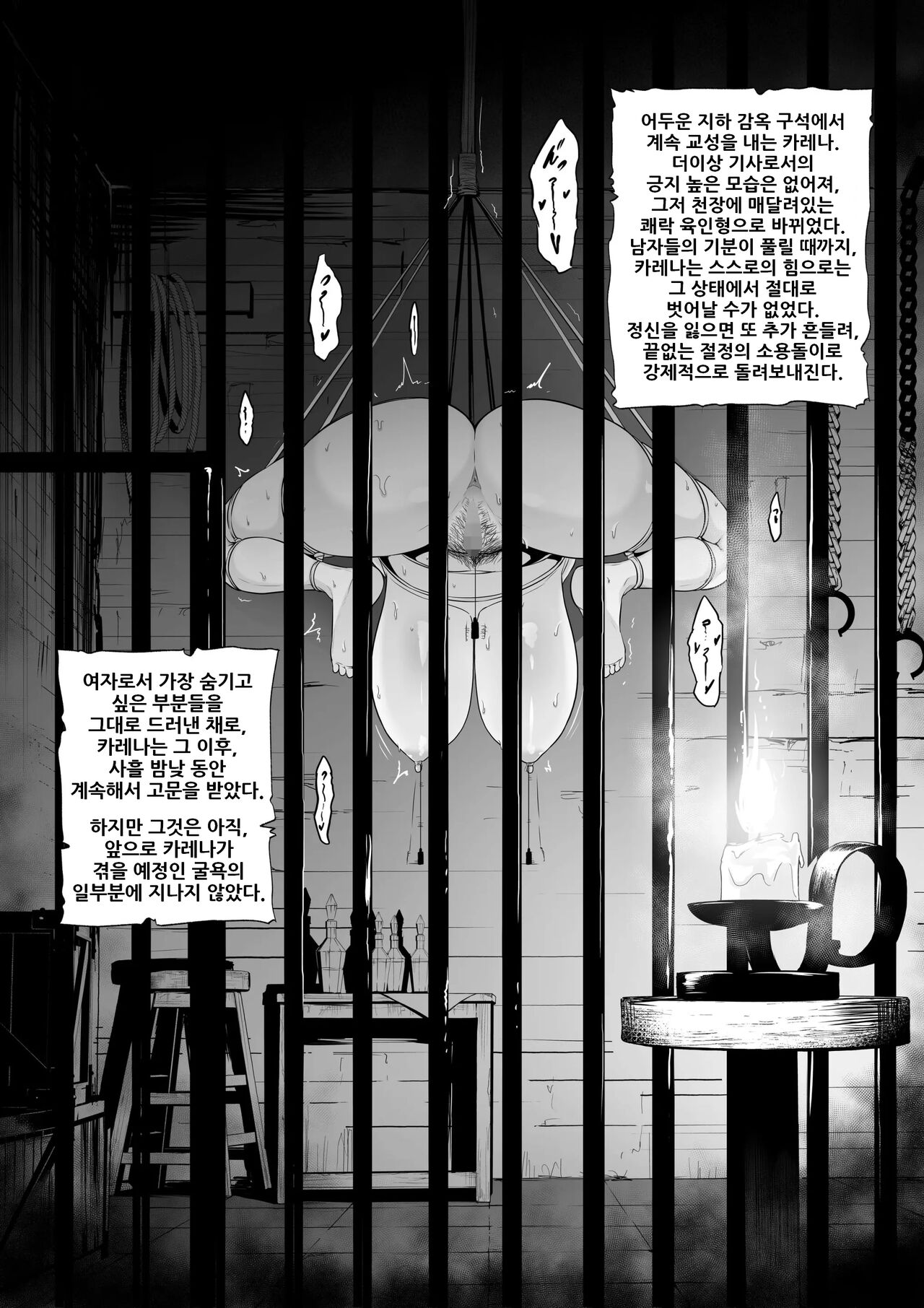 Toraware no Onna Kishi, Kairaku Nku Ningyou ni Sareru | 사로잡힌 여기사, 쾌락 육인형이 되다 page 9 full