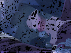 Hi-Res and exclusive animations