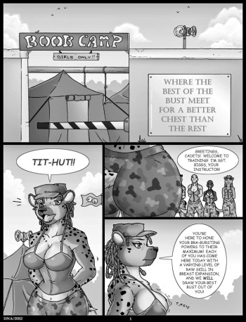 Boob Camp Collection cover