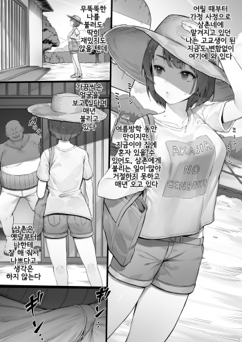 [Nigiri Usagi] Itsumodoori no Natsuyasumi | 늘 하던 대로의 여름방학 [Korean] cover
