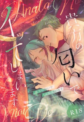 (Beckon of the Mirror 9) [Sumiyaki Teishoku (Toriniku)] Anata no Nioi de Itte Shimaimasu (Disney: Twisted-Wonderland) cover
