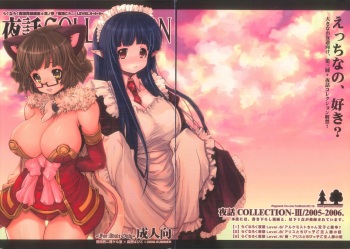 (C74) [Seinansei ni Kagayakeru Hoshi (Morino Papiko)] Yawa Collection vol.3 (Ragnarok Online) cover