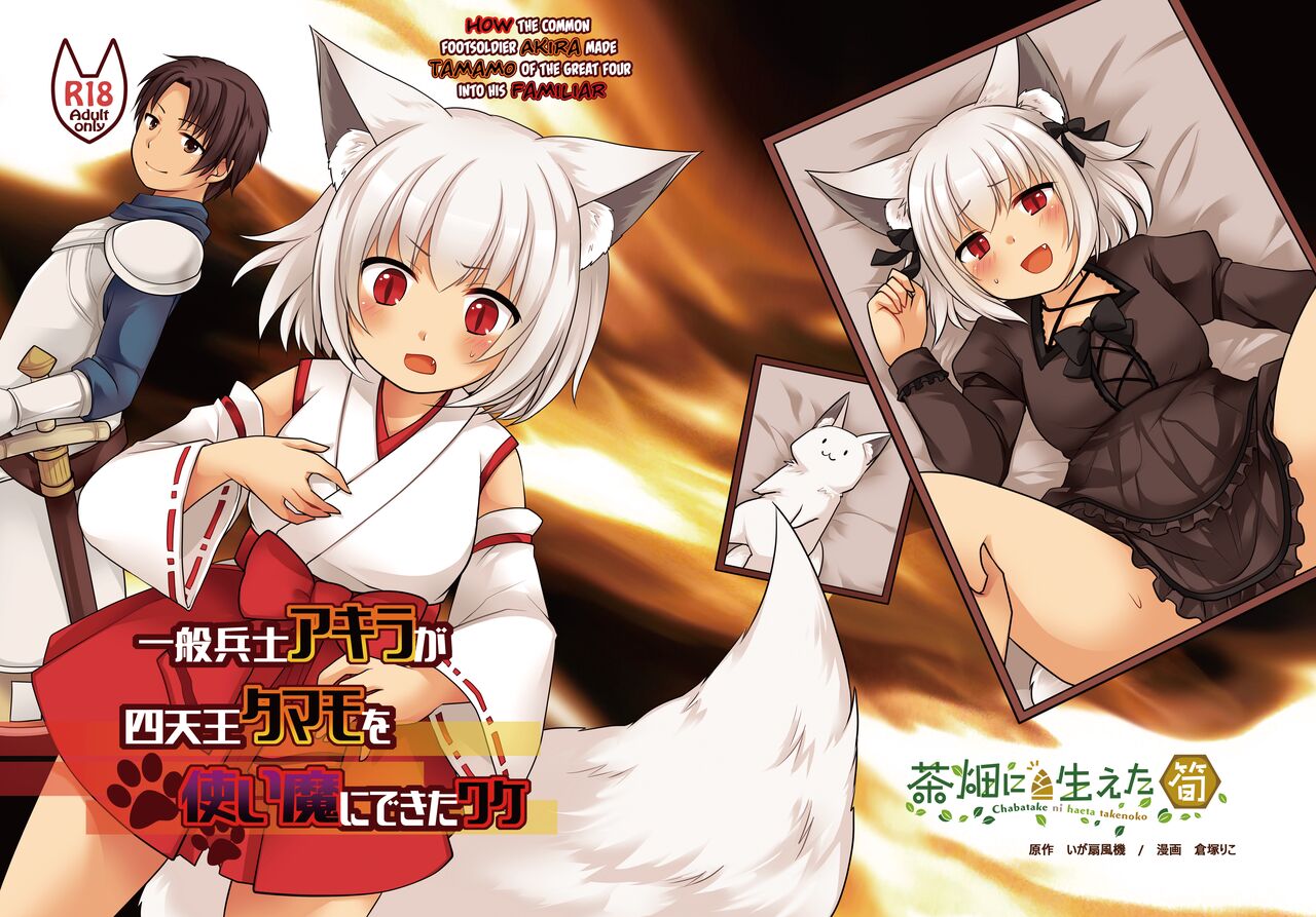 Ippan Heishi Akira ga Shitennou Tamamo wo Tsukaima ni Dekita Wake | How The Common Footsoldier Akira Made Tamamo of the Great Four Into His Familiar page 1 full