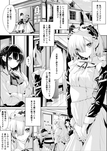 [Zanka] Ojou-sama to Maid-san no Ikenai Oshioki cover