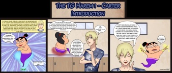 [TheMightFenek] The TG Harem cover