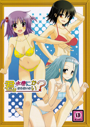 (COMIC1☆3) [Many Menu (Kondate)] Kimi wa Mizugi ni Naranai no kai? (Hayate No Gotoku!) cover