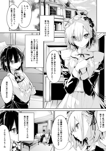 [Zanka] Oshioki Shitai Ojou-sama to Saretai Maid-san cover