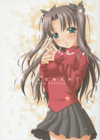 (C66) [Tiny Feather (Sin-Go)] FRAGMENT Tiny Feather (Fate/stay night) [English] cover