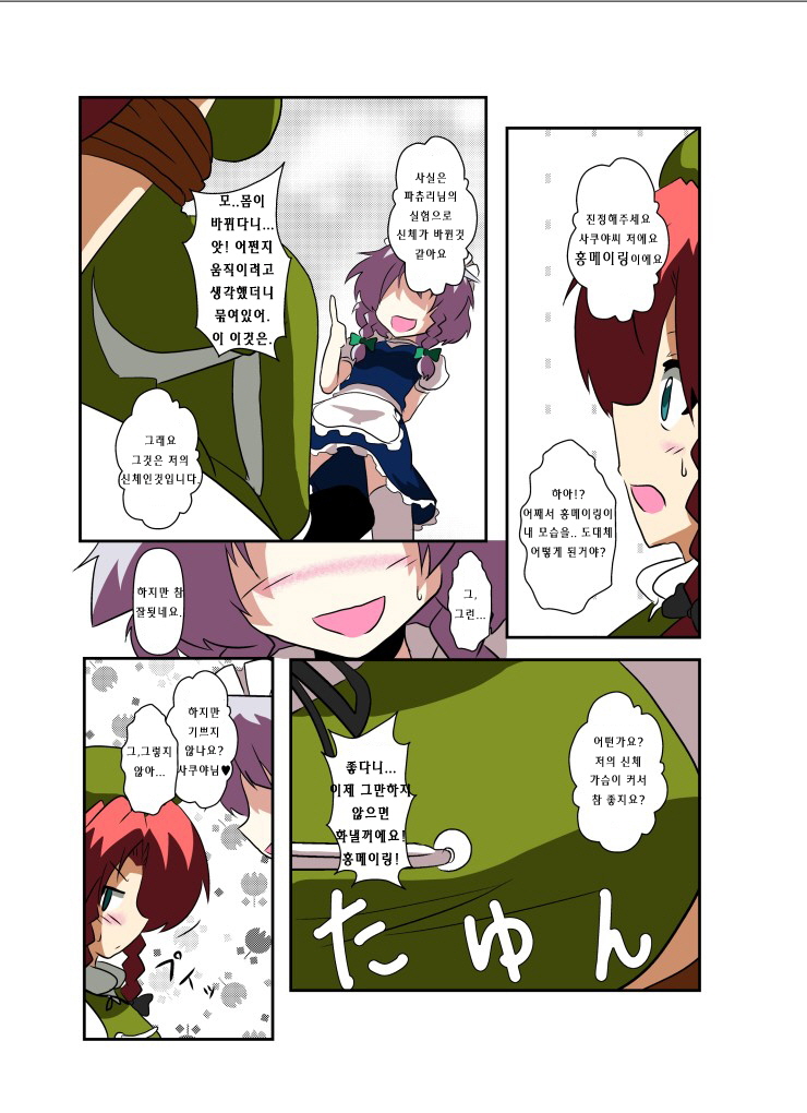 Touhou TS Monogatari ~Sakuya hen~ | 동방 TS 이야기 ~사쿠야편~ page 12 full