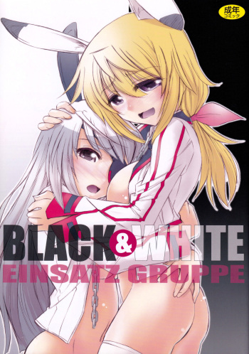 (C81) [EINSATZ GRUPPE (Charlie Nishinaka)] BLACK & WHITE (IS <Infinite Stratos>) cover