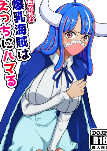 [Q Doujin] kishoo ga arai bakunyuu kaizoku wa ecchi ni hamaru cover