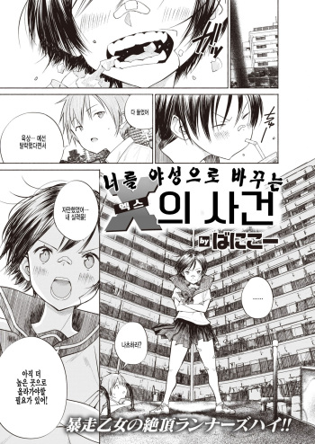 [Vanicooo] Kimi o Yasei ni Kaeru X no Dekigoto | 너를 야성으로 바꾸는 엑스의 사건 (COMIC X-EROS #95) [Korean] [팀 털난보리] Digital] cover