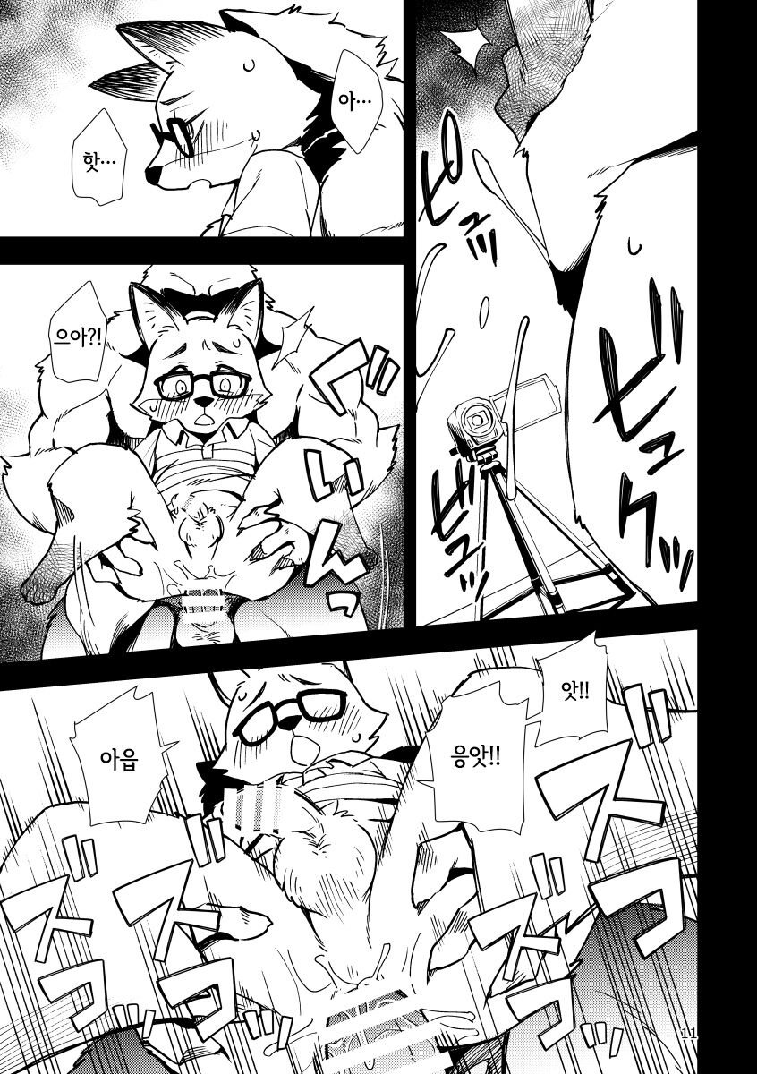 Kitsune no Shachou ga Seiteki Sugiru node | 여우 사장이 너무 성적이라 page 10 full
