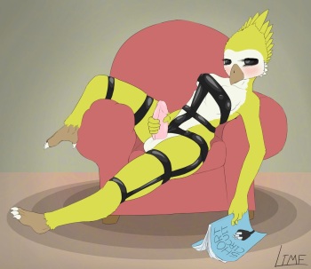 Artist - limebreaker cover