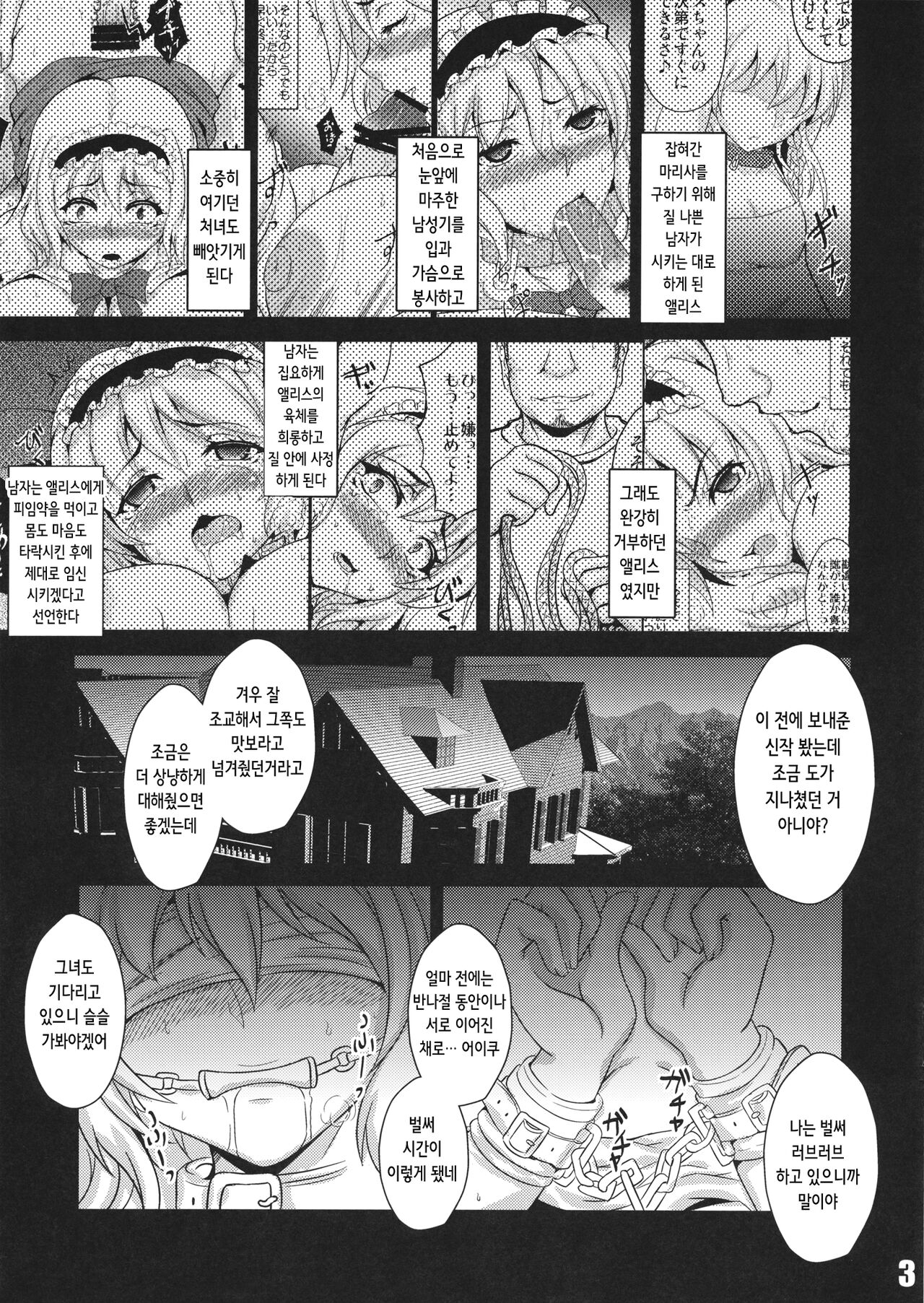 Ningyou Shoujo no Otoshikata | 인형 소녀를 타락시키는 방법 ~앨리스 마가트로이드 능욕 조교 수정 회상록~ page 3 full