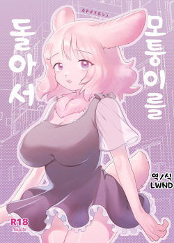 Kado o Magatte | 모퉁이를 돌아서